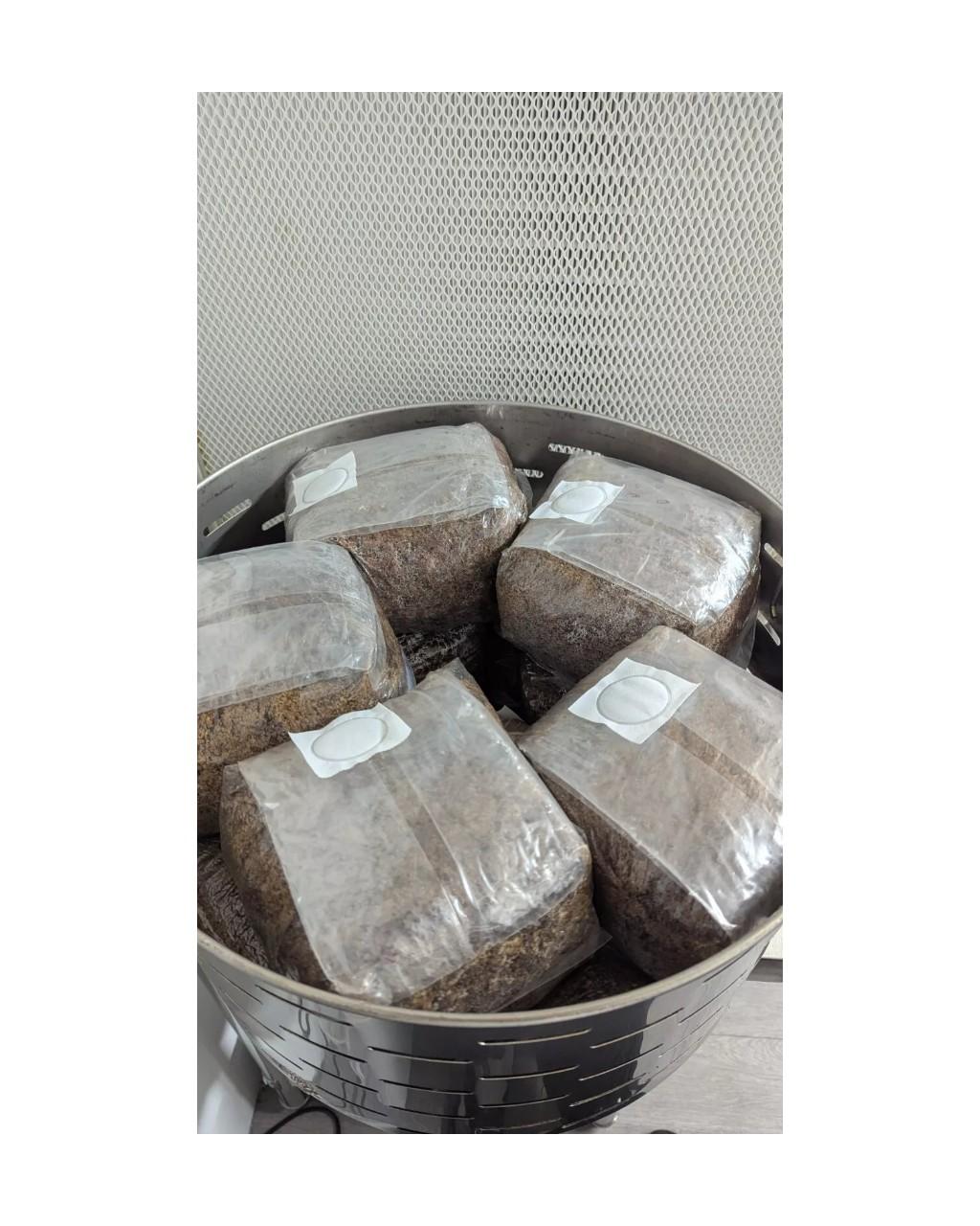 Sterilized Mushroom Master Mix Substrate