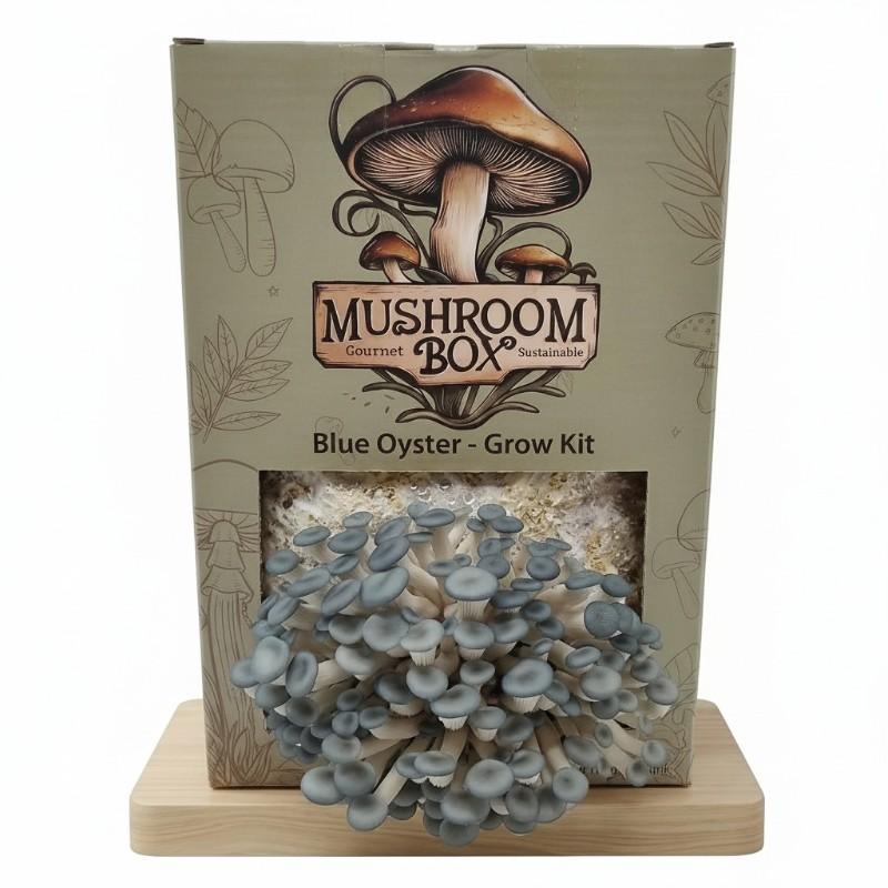 Blue Oyster Grow Kit